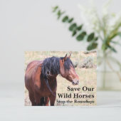 Red onze wilde paarden briefkaart (Staand voorkant)