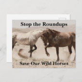 Red onze wilde paarden briefkaart (Voorkant / Achterkant)