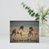 Red onze wilde paarden briefkaart (Staand voorkant)