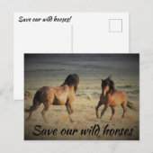 Red onze wilde paarden briefkaart (Voorkant / Achterkant)