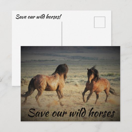 Red onze wilde paarden briefkaart (Voorkant / Achterkant)