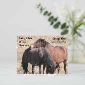 Red onze wilde paarden briefkaart (Staand voorkant)