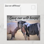 Red onze wilde paarden briefkaart (Voorkant / Achterkant)