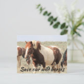 Red onze wilde paarden briefkaart (Staand voorkant)