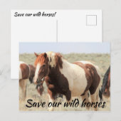 Red onze wilde paarden briefkaart (Voorkant / Achterkant)