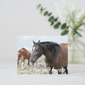 Red onze wilde paarden briefkaart (Staand voorkant)