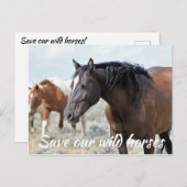 Red onze wilde paarden briefkaart (Voorkant / Achterkant)