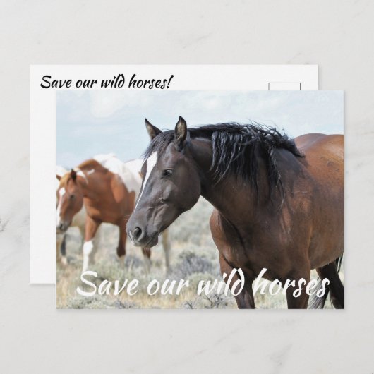 Red onze wilde paarden briefkaart (Voorkant / Achterkant)
