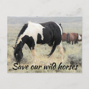 Red onze wilde paarden briefkaart