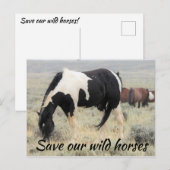 Red onze wilde paarden briefkaart (Voorkant / Achterkant)
