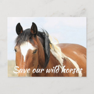 Red onze wilde paarden briefkaart
