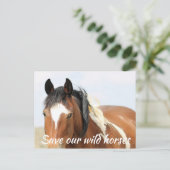 Red onze wilde paarden briefkaart (Staand voorkant)