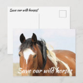 Red onze wilde paarden briefkaart (Voorkant / Achterkant)