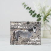 Red onze wilde paarden briefkaart (Staand voorkant)
