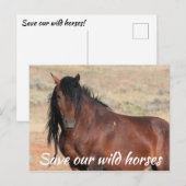 Red onze wilde paarden briefkaart (Voorkant / Achterkant)