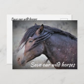 Red onze wilde paarden briefkaart (Voorkant / Achterkant)