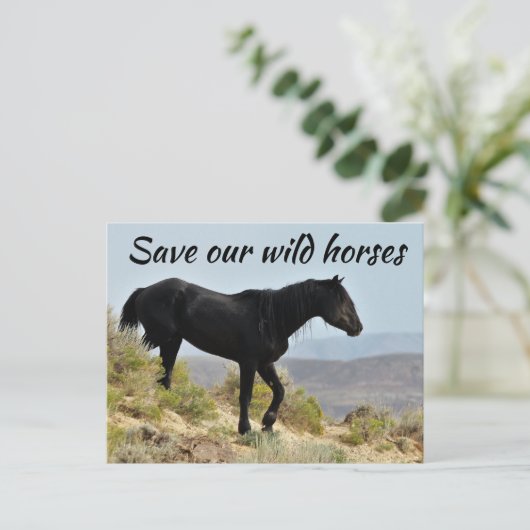 Red onze wilde paarden briefkaart (Staand voorkant)