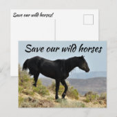 Red onze wilde paarden briefkaart (Voorkant / Achterkant)