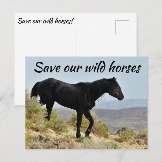Red onze wilde paarden briefkaart (Voorkant / Achterkant)