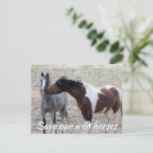 Red onze wilde paarden briefkaart (Staand voorkant)