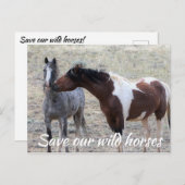 Red onze wilde paarden briefkaart (Voorkant / Achterkant)