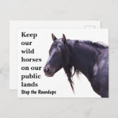 Red onze wilde paarden briefkaart (Voorkant / Achterkant)