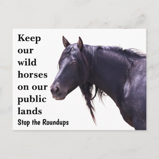 Red onze wilde paarden briefkaart (Voorkant)