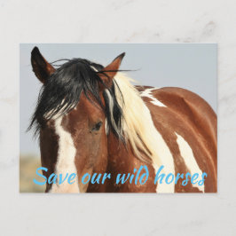 Red onze wilde paarden briefkaart