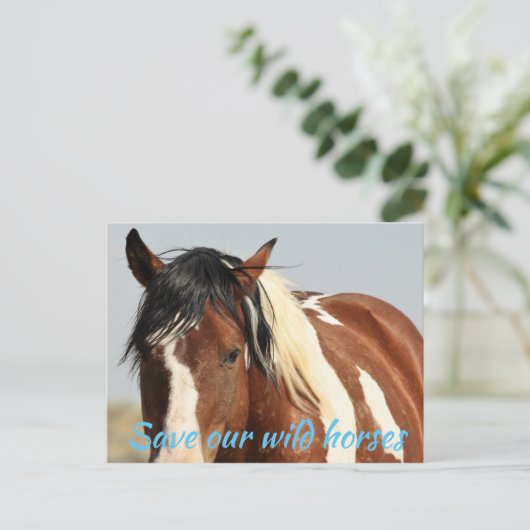 Red onze wilde paarden briefkaart (Staand voorkant)