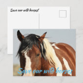 Red onze wilde paarden briefkaart (Voorkant / Achterkant)