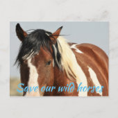 Red onze wilde paarden briefkaart (Voorkant)