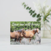 Red onze wilde paarden briefkaart (Staand voorkant)
