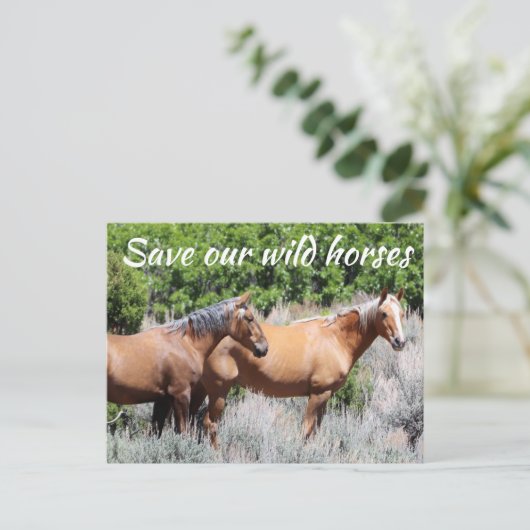 Red onze wilde paarden briefkaart (Staand voorkant)