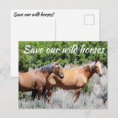 Red onze wilde paarden briefkaart (Voorkant / Achterkant)