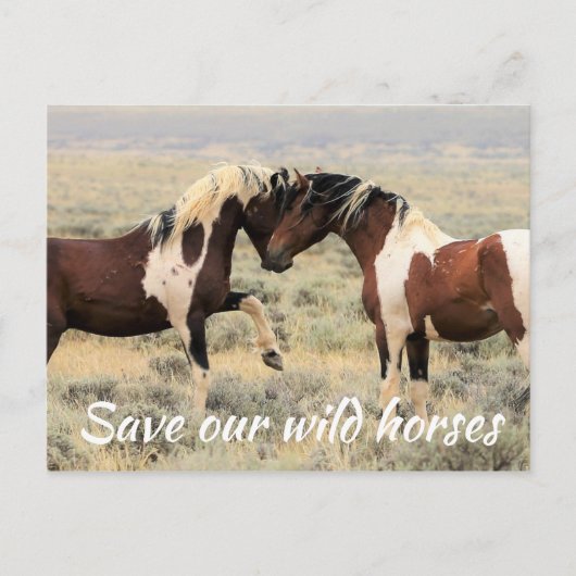 Red onze wilde paarden briefkaart (Voorkant)