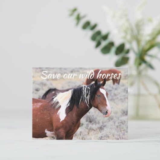 Red onze wilde paarden briefkaart (Staand voorkant)