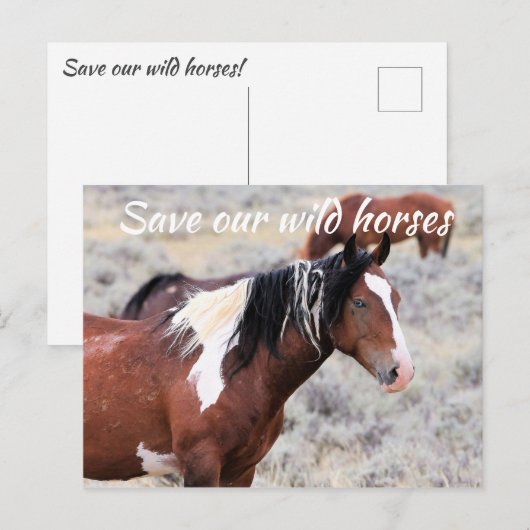 Red onze wilde paarden briefkaart (Voorkant / Achterkant)