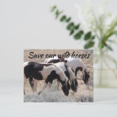 Red onze wilde paarden briefkaart (Staand voorkant)