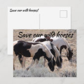 Red onze wilde paarden briefkaart (Voorkant / Achterkant)
