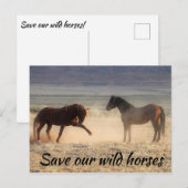 Red onze wilde paarden briefkaart (Voorkant / Achterkant)