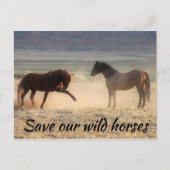 Red onze wilde paarden briefkaart (Voorkant)