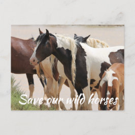 Red onze wilde paarden briefkaart