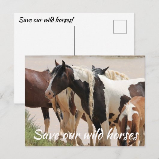 Red onze wilde paarden briefkaart (Voorkant / Achterkant)