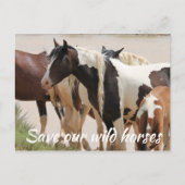 Red onze wilde paarden briefkaart (Voorkant)