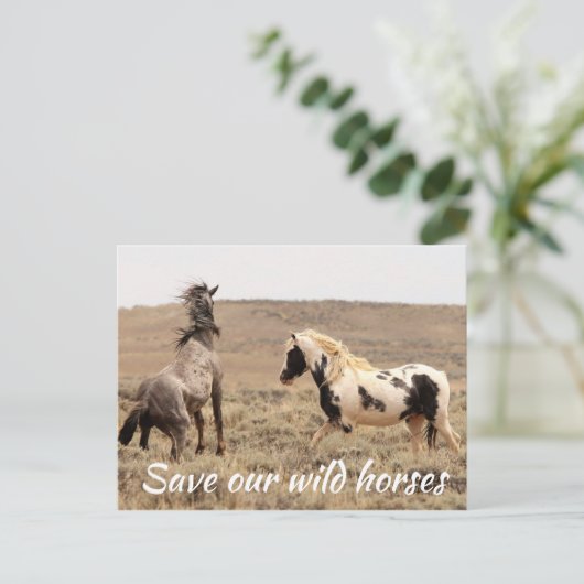 Red onze wilde paarden briefkaart (Staand voorkant)