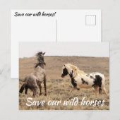 Red onze wilde paarden briefkaart (Voorkant / Achterkant)