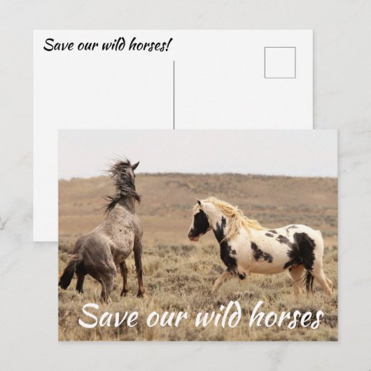 Red onze wilde paarden briefkaart (Voorkant / Achterkant)