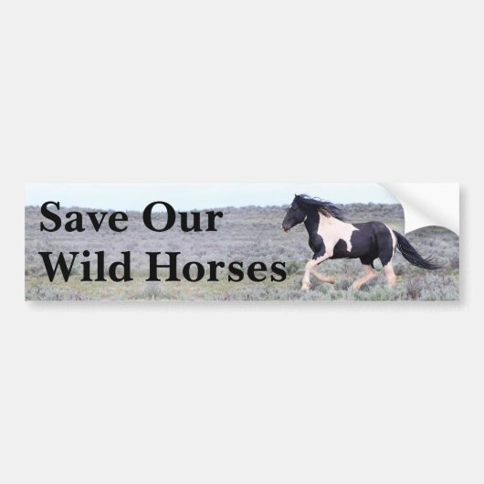 Red onze wilde paarden bumpersticker (Voorkant)