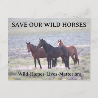 Red onze wilde paarden uitnodiging briefkaart
