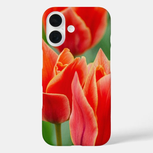 Red Orange Tulips iPhone 16 Case (Achterkant)
